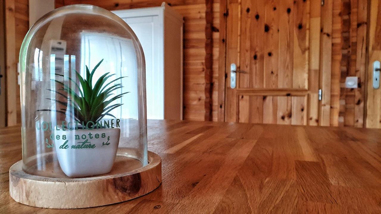 Le Chalet Jacuzzi Et Detente 4 Etoiles バニエール・ド・ビゴール エクステリア 写真